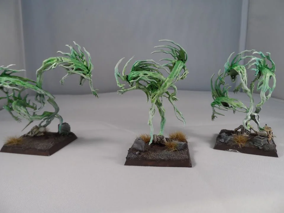 10734178_10152844709387276_838655648321559278_n.webp