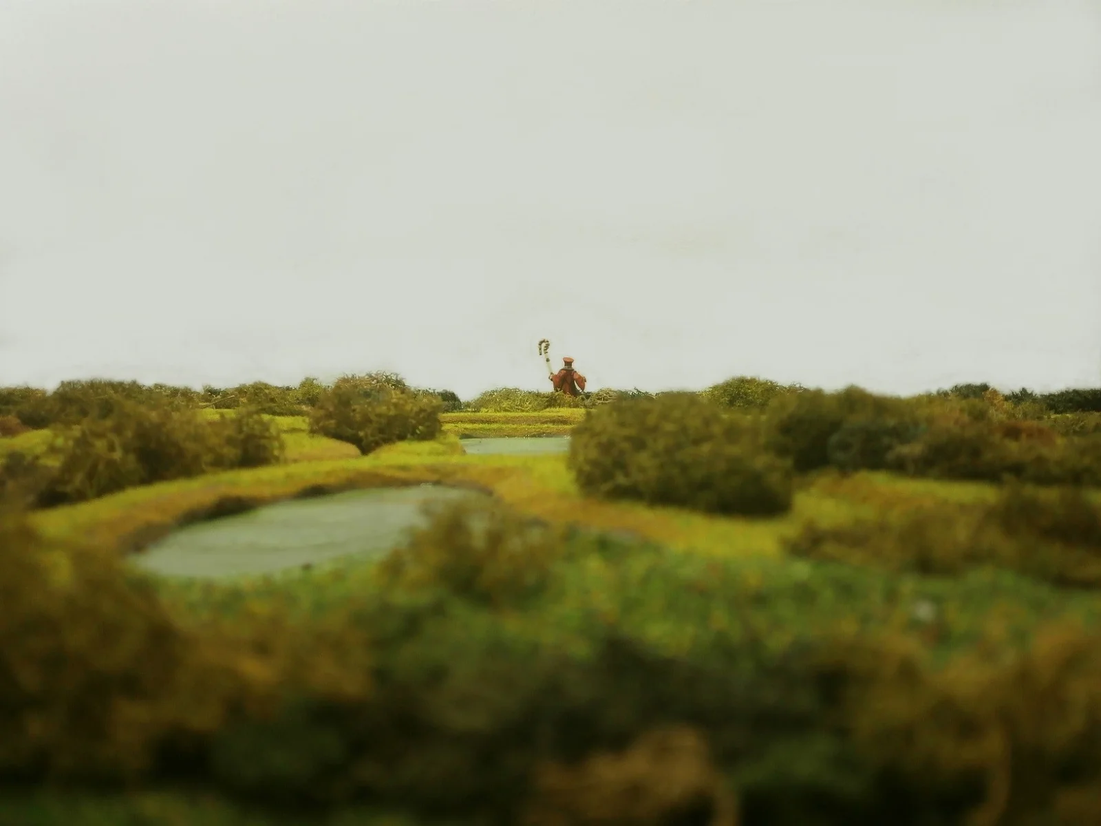 1dcGKgO.webp