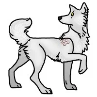 20140427-190833.webp