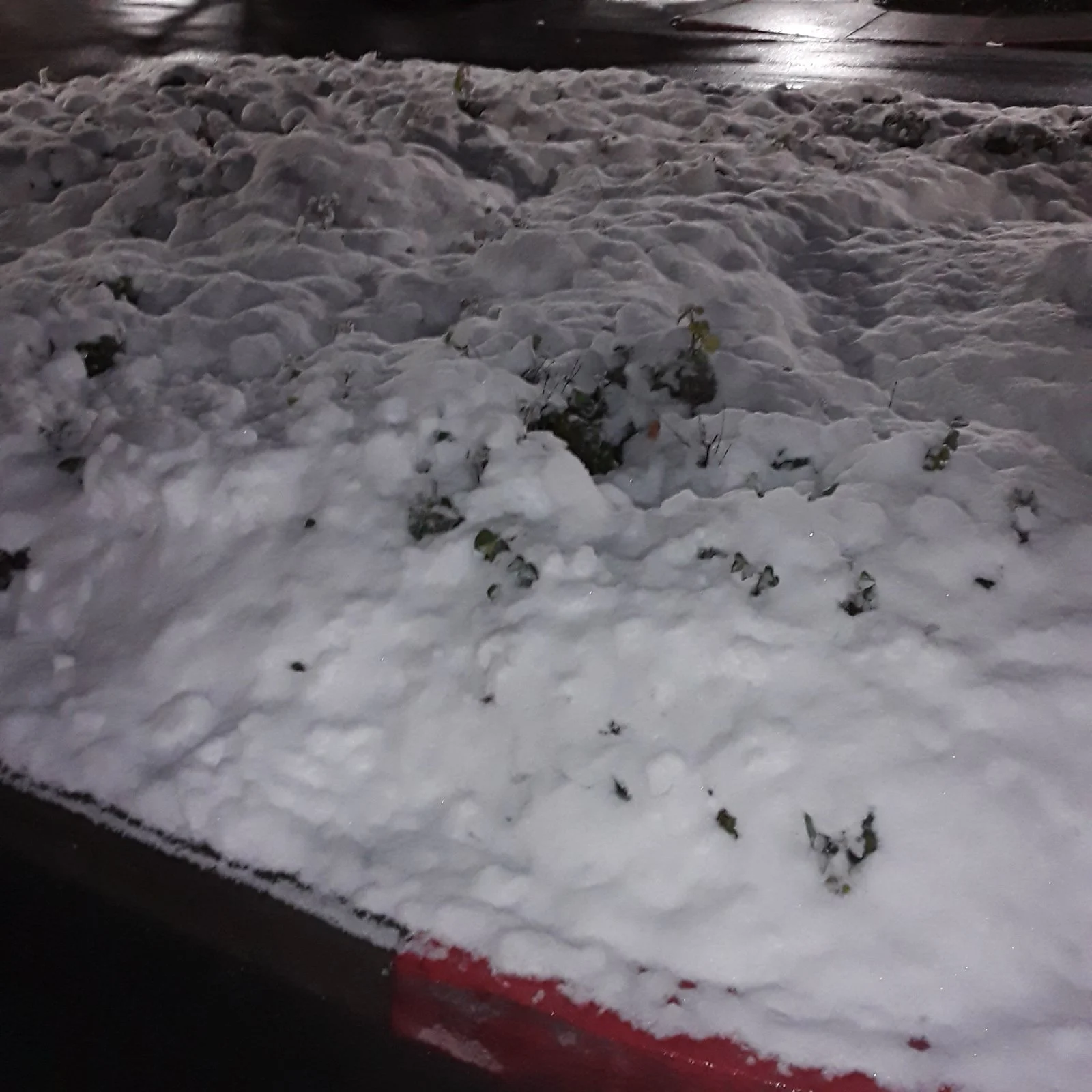 20211228_005200.webp