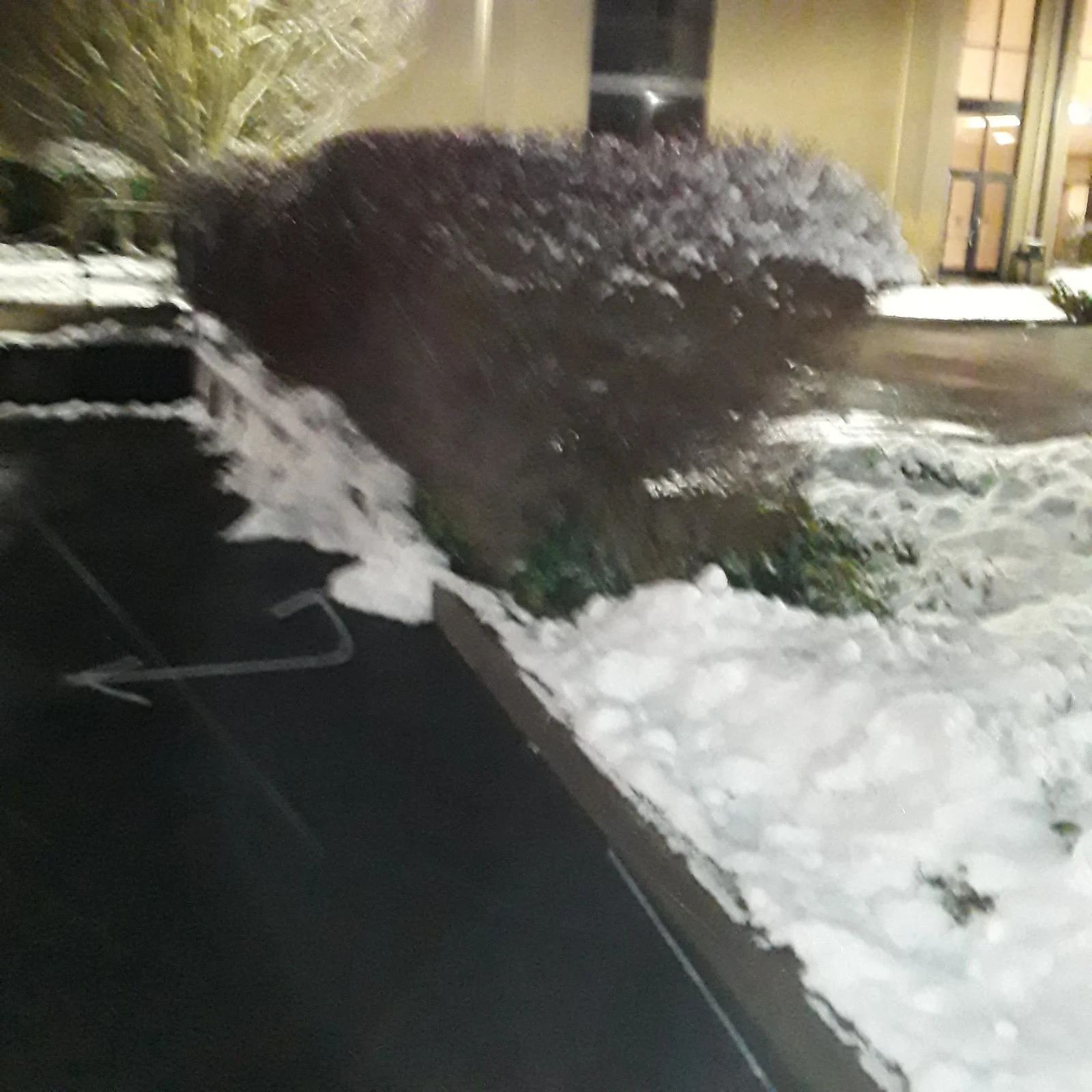20211228_005205.webp