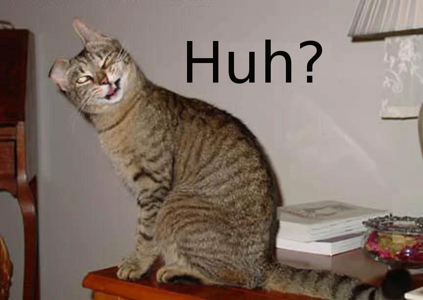 a1.bp.blogspot.com__b0MlAjZlyRI_TcEyCs1TzUI_AAAAAAAAAJ4_OqjxPr10z_g_s1600_confused_cat_huh.webp