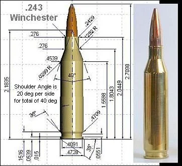 aaccurateshooter.net_pix_243winchcgtopx360b.webp