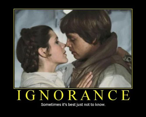 aartcentric.files.wordpress.com_2009_02_star_wars_demotivational_poster.webp