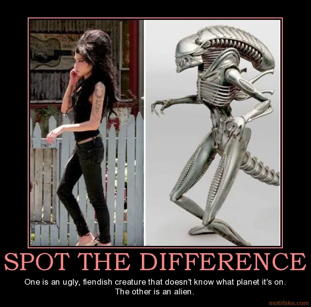 adopetype.files.wordpress.com_2009_11_spot_the_difference_amy_bade682d99f5c9f7c2e0b1a86cc93445.webp