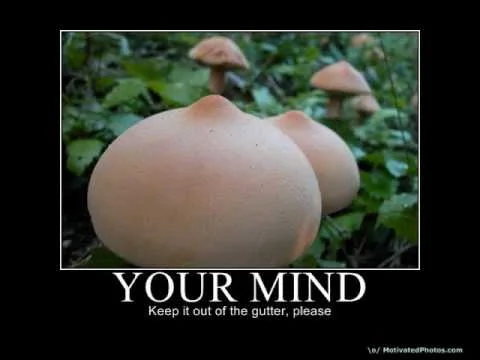 ai.ytimg.com_vi_Wb7Tou8iWjw_0.webp