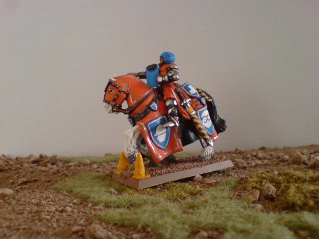 ai1097.photobucket.com_albums_g344_MPCB94_HealthandSafetyKnight3.webp