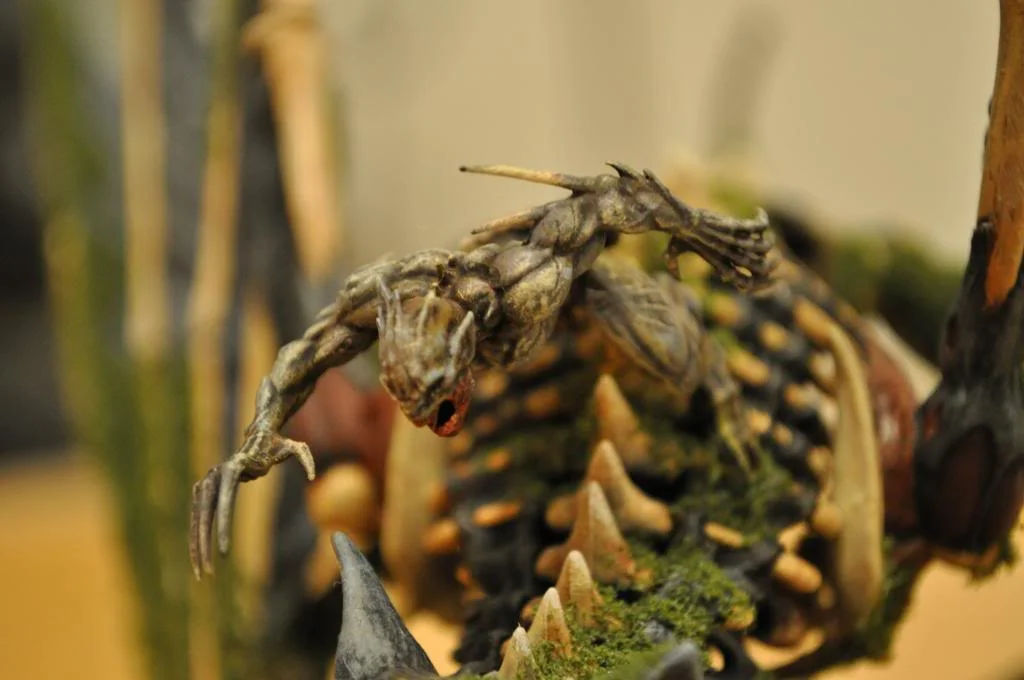 ai1281.photobucket.com_albums_a505_ElbisreverTsitra_DSC_0230.webp