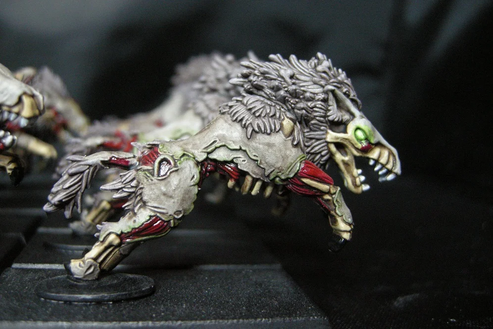 ai134.photobucket.com_albums_q101_MCP1_DireWolf2.webp