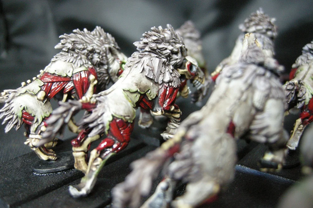 ai134.photobucket.com_albums_q101_MCP1_DireWolf4.webp