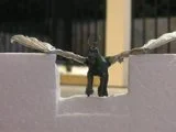 ai17.photobucket.com_albums_b76_bennyjj_Beirach_th_PICT0452.webp
