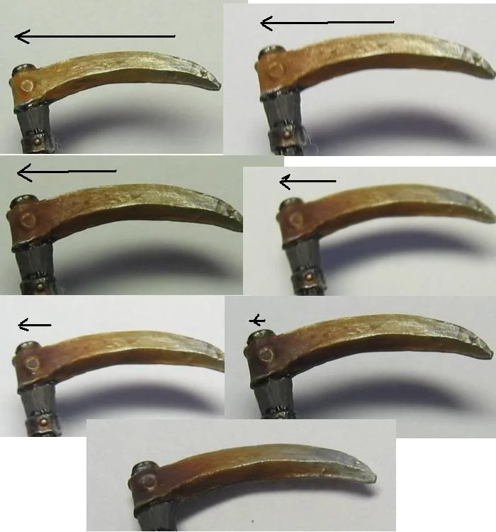 ai185.photobucket.com_albums_x188_maximayres_Tut1.webp
