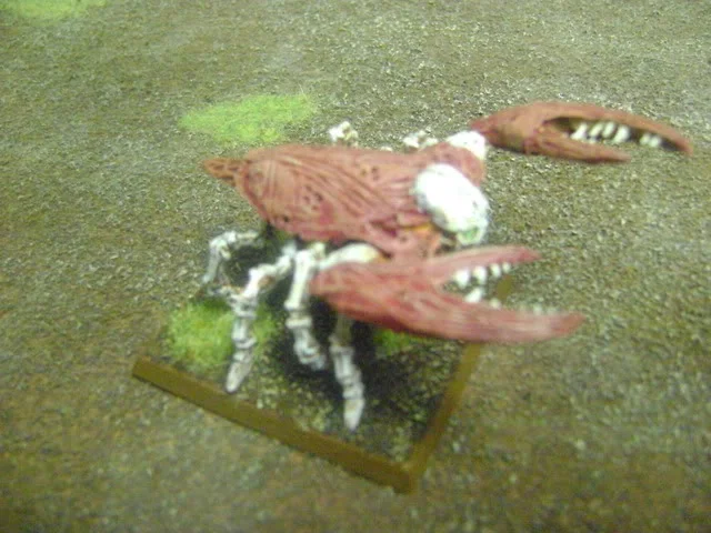 ai187.photobucket.com_albums_x147_sharkbelly_Undead_20Pirates_DSC02653.webp