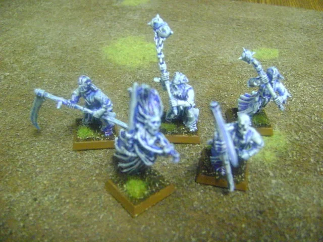 ai187.photobucket.com_albums_x147_sharkbelly_Von_20Carstein_20Army_DSC02648.webp