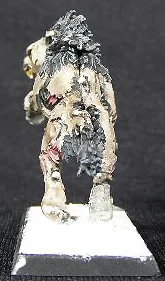 ai195.photobucket.com_albums_z162_fishnchips821_warhammer_vc_P9261144.webp