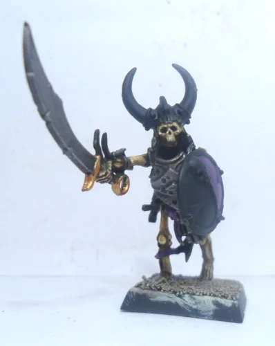 ai289.photobucket.com_albums_ll219_Logoan054_Vampire_20Counts_Skeletonwarriors.webp