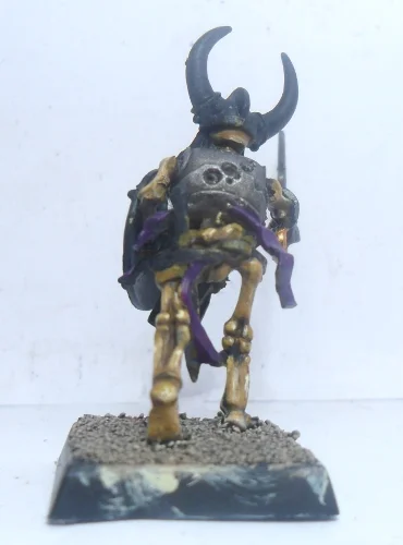 ai289.photobucket.com_albums_ll219_Logoan054_Vampire_20Counts_SkeletonWarriors2.webp