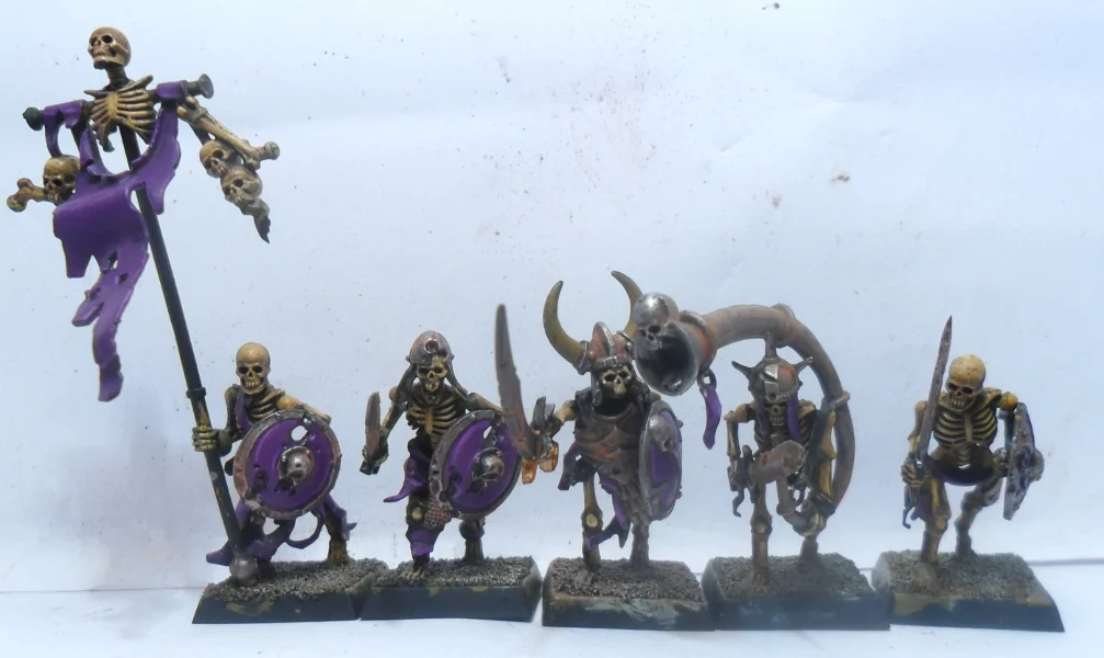 ai289.photobucket.com_albums_ll219_Logoan054_Vampire_20Counts_SkeletonWarriors3.webp