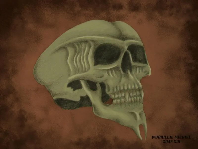 ai31.photobucket.com_albums_c364_WolfFang007_Art_Alienskull.webp
