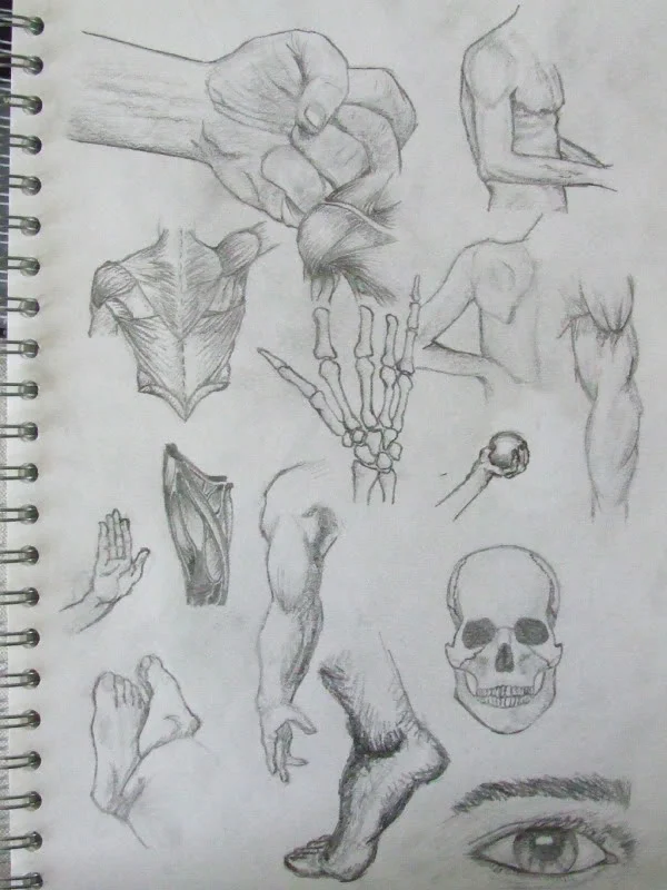 ai31.photobucket.com_albums_c364_WolfFang007_Art_DSCF2284.webp