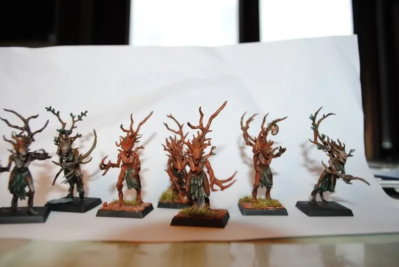 ai31.photobucket.com_albums_c364_WolfFang007_Warhammer_20Wood_20Elves_DSC_0145.webp