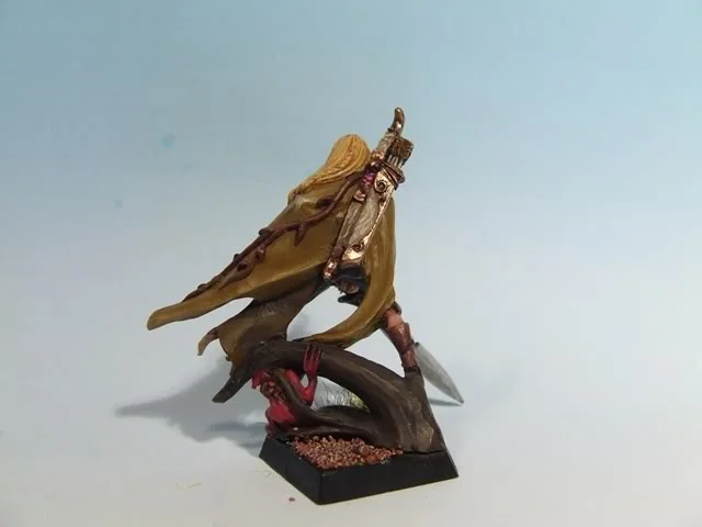 ai31.photobucket.com_albums_c364_WolfFang007_Warhammer_20Wood_20Elves_DSCF1888.webp