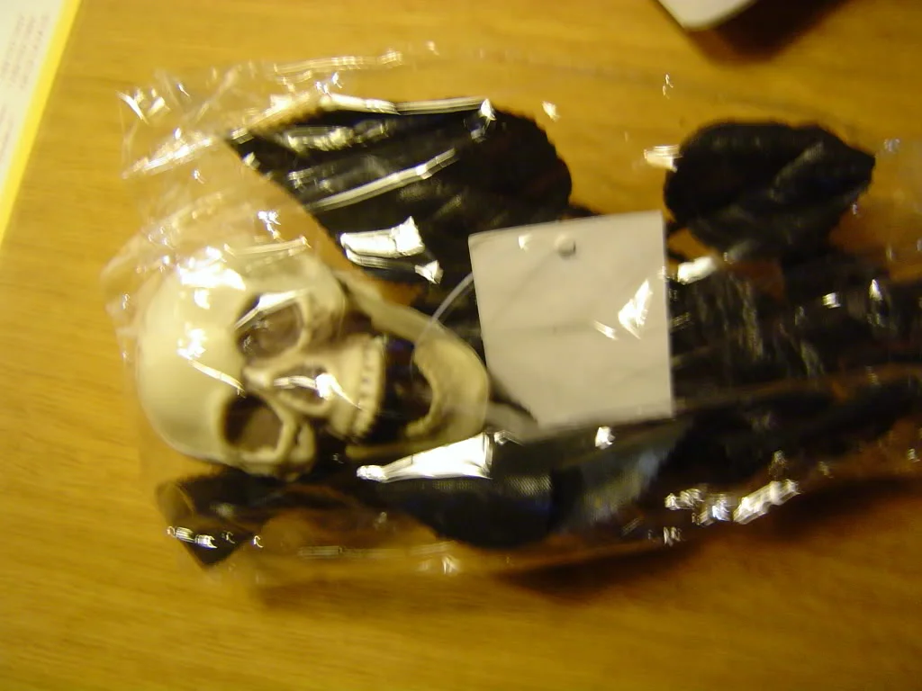 ai38.photobucket.com_albums_e111_raphaeloudsen_Vampire_20Counts_2010_DSC00042.webp