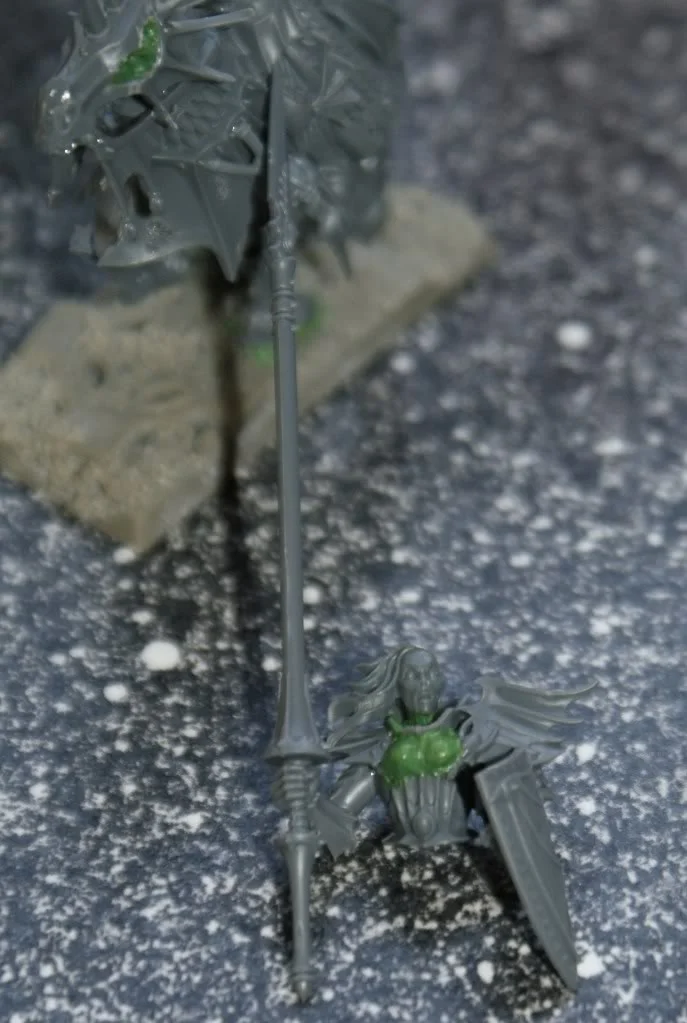 ai38.photobucket.com_albums_e111_raphaeloudsen_Vampire_20Counts_2010_DSC08761.webp