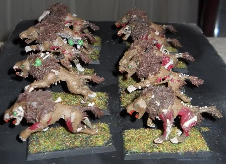 ai783.photobucket.com_albums_yy117_dmc514_Warhammer_DireWolves009.webp