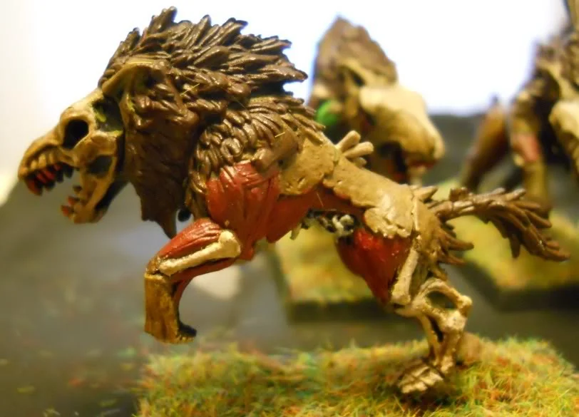 ai783.photobucket.com_albums_yy117_dmc514_Warhammer_DireWolves016.webp