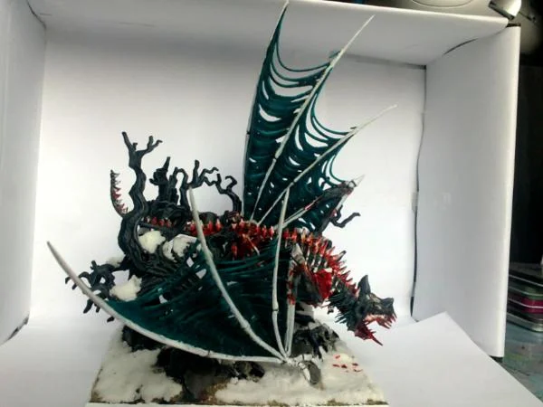 aimages.dakkadakka.com_gallery_2011_11_13_294177_sm_Forest_20Bac14da8a7947f46f9ee4f2a70866927a.webp