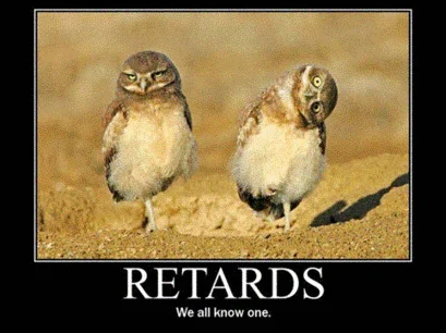 aimg88.imageshack.us_img88_9489_retards.webp