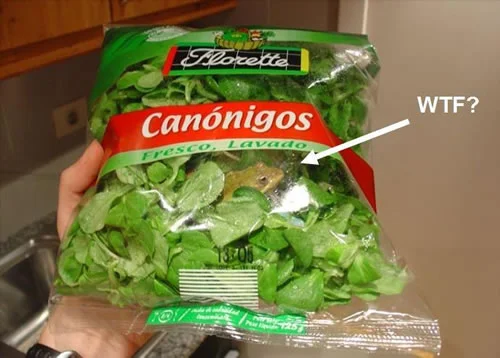amedia1.break.com_dnet_media_2008_9_wtf_is_in_my_salad.webp