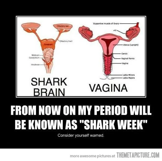 astatic.themetapicture.com_media_funny_shark_week_quote.webp