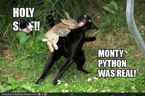 avannahscreations.files.wordpress.com_2012_12_20121216_223653.640239ecd26b88cb7df304d8c417f287.webp