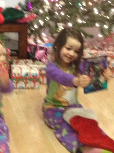 avannahscreations.files.wordpress.com_2012_12_20121225_080249.86e92c8f3acee058f8a36d298bc39748.webp