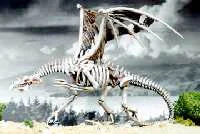 awww.rafm.com_images_product_FBS_02014.webp