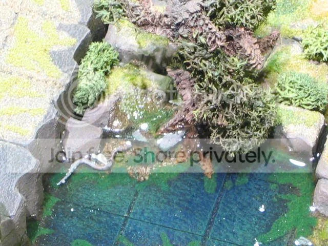 DD037.webp