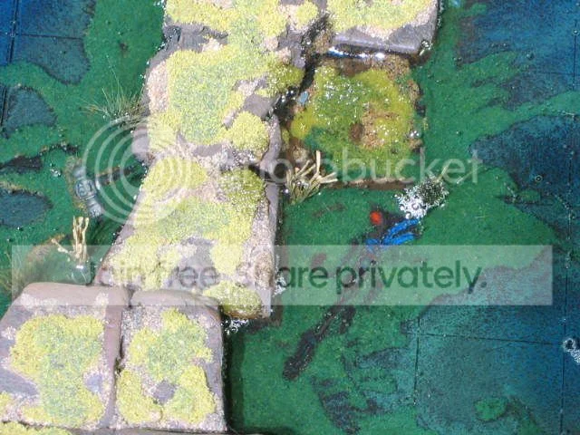 DD049.webp