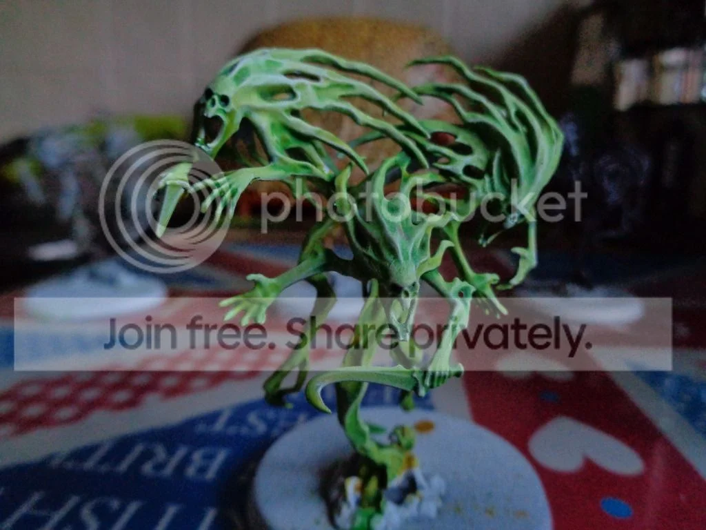 DSC00006_zpssrz5sazq.webp