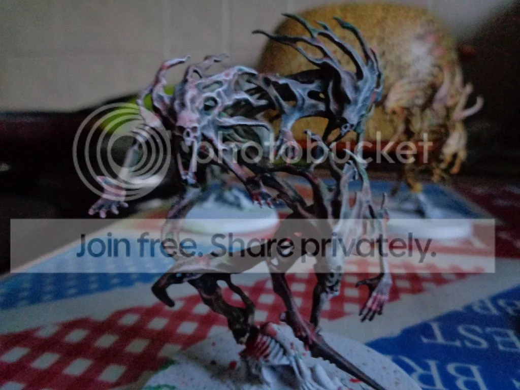 DSC00007_zpsqbmgr8ub.webp