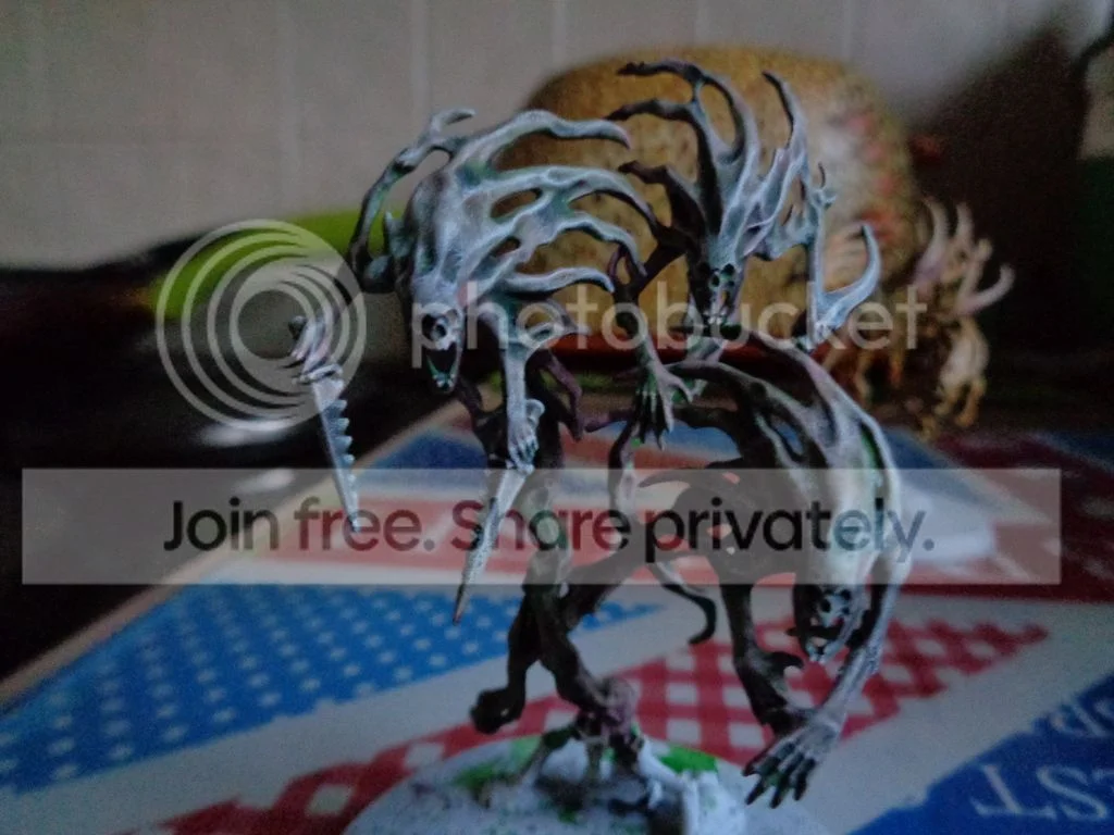 DSC00008_zpsmdhb7pz4.webp
