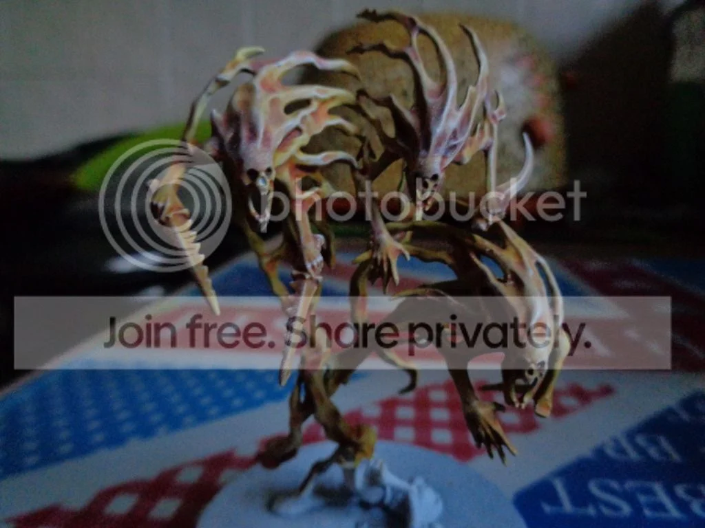 DSC00009_zpsfkykck3e.webp