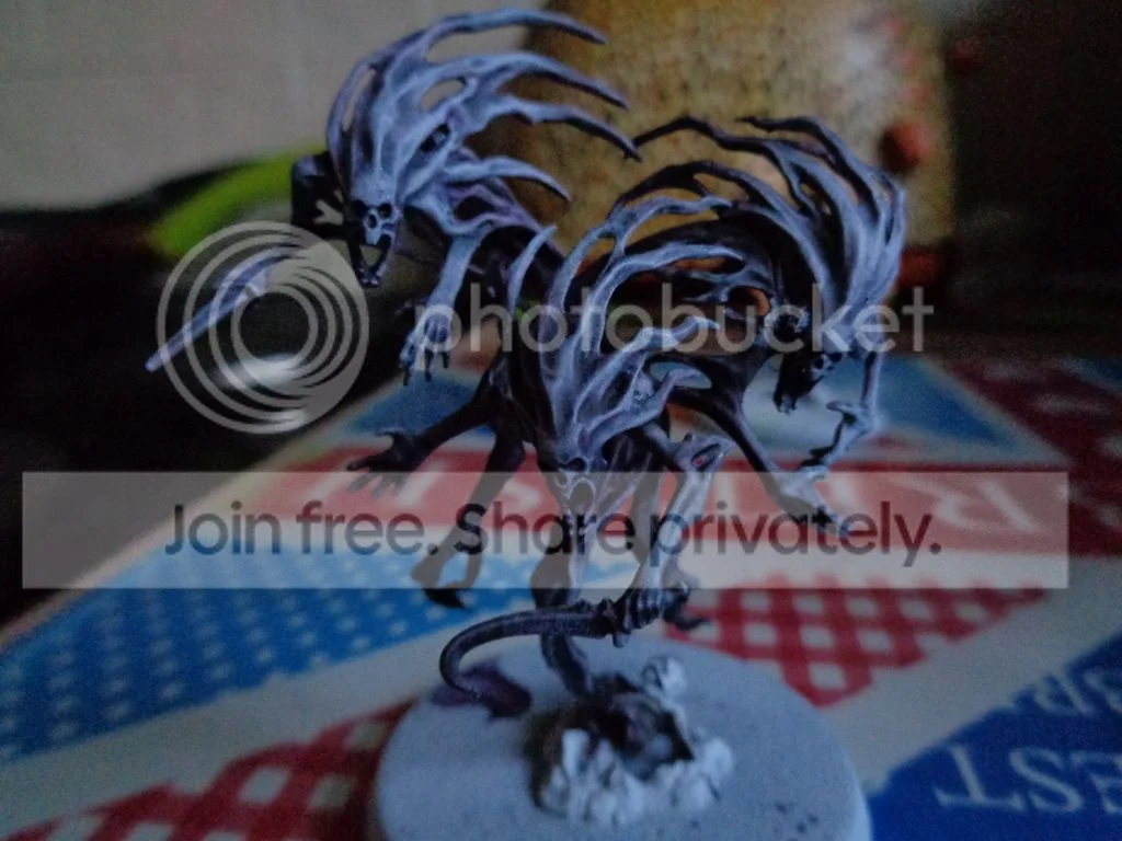 DSC00010_zpsnjj1obfg.webp