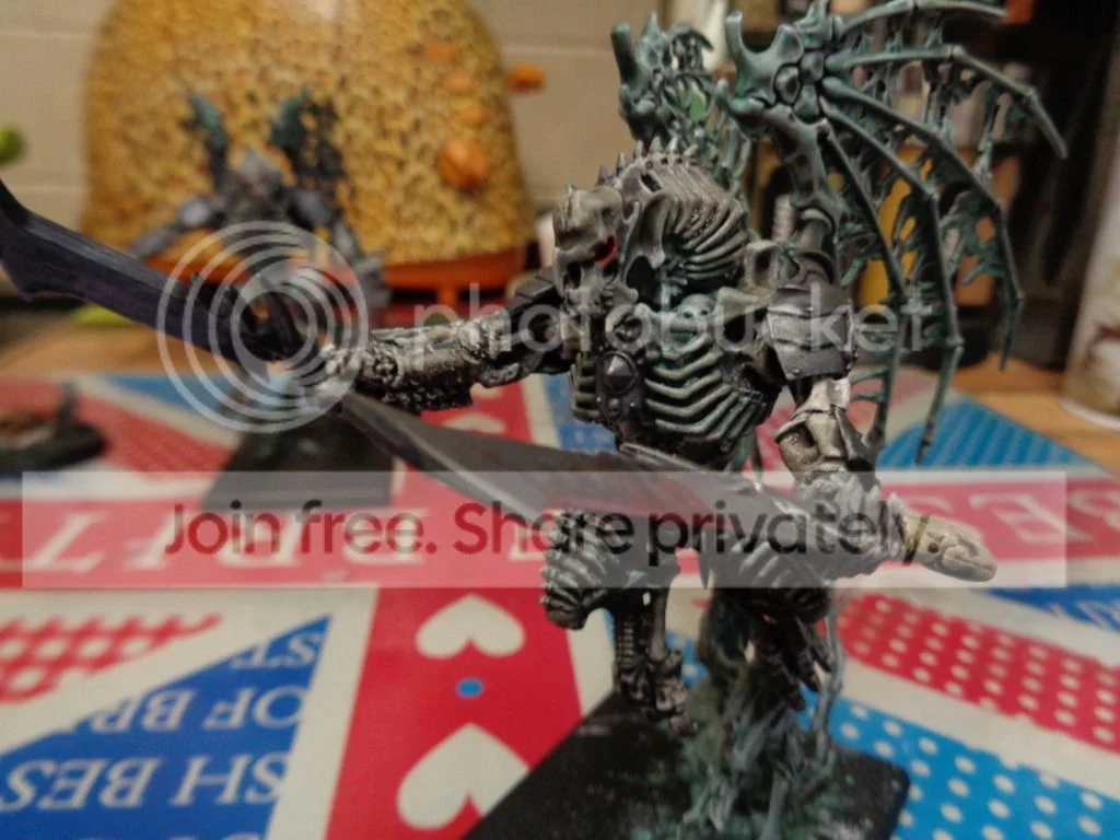 DSC00018_zpsqnyznj8x.webp