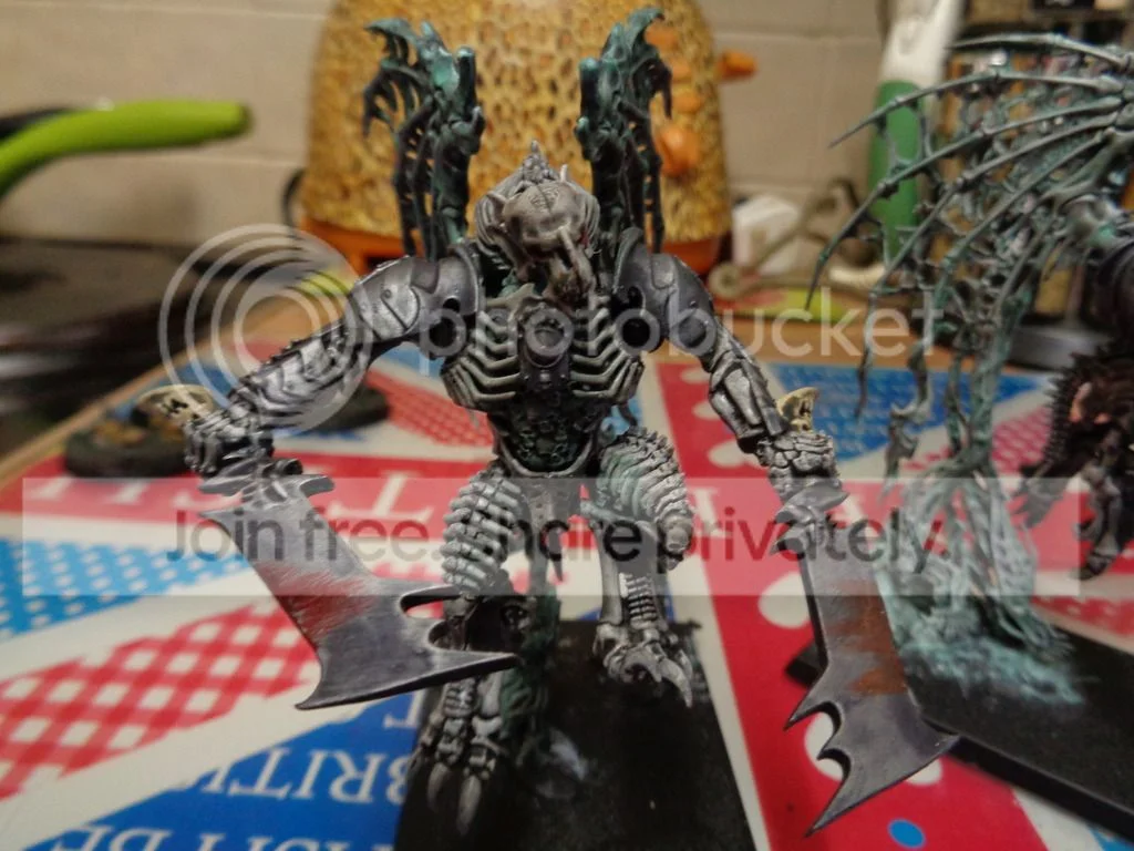DSC00020_zpsvyj5u2tv.webp