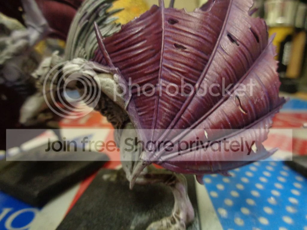 DSC00026_zps2nhuptix.webp