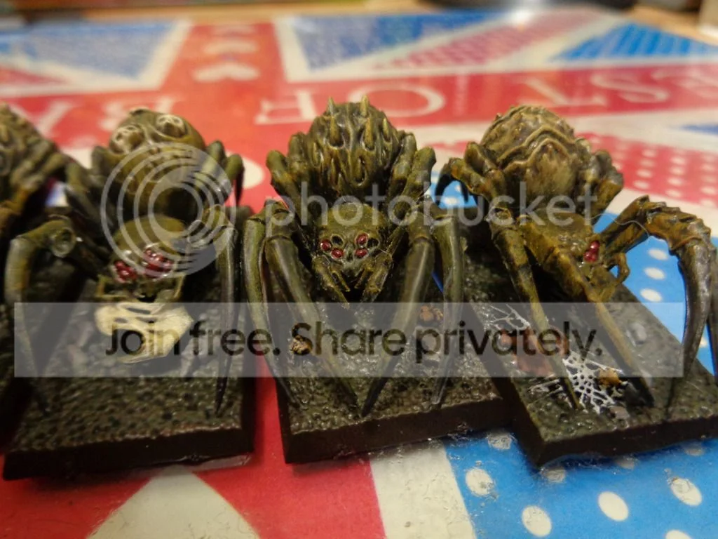 DSC00028_zpsybb06te4.webp