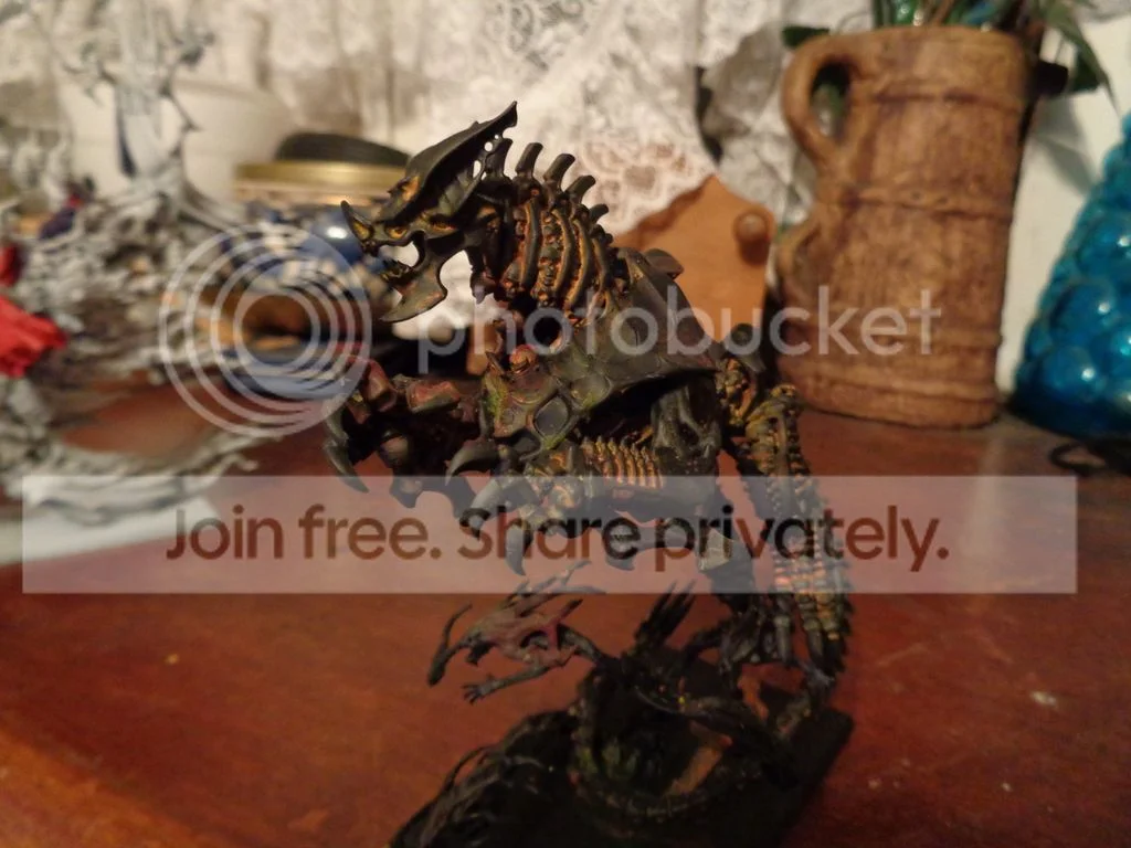 DSC00045_zpskf5g7obk.webp