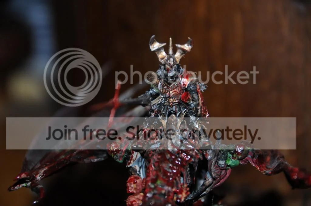 DSC_6156_zps6a732c27.webp
